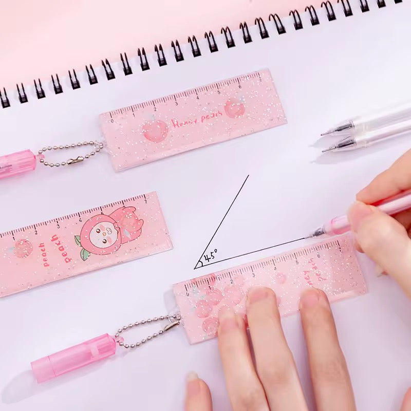 Pen with ruler accessories